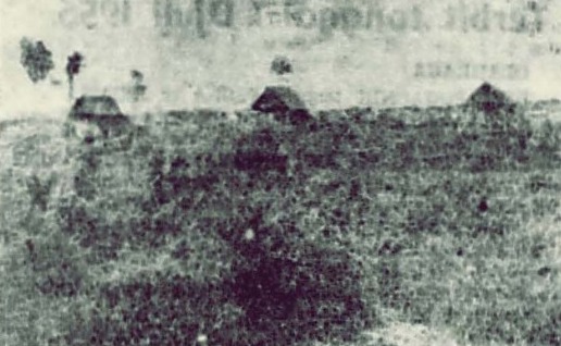 Lokasi pertanian transmigran di Pulau Atas, Samarinda, pada 1956. FOTO: KEDAULATAN RAKYAT EDISI 24 JUNI 1956