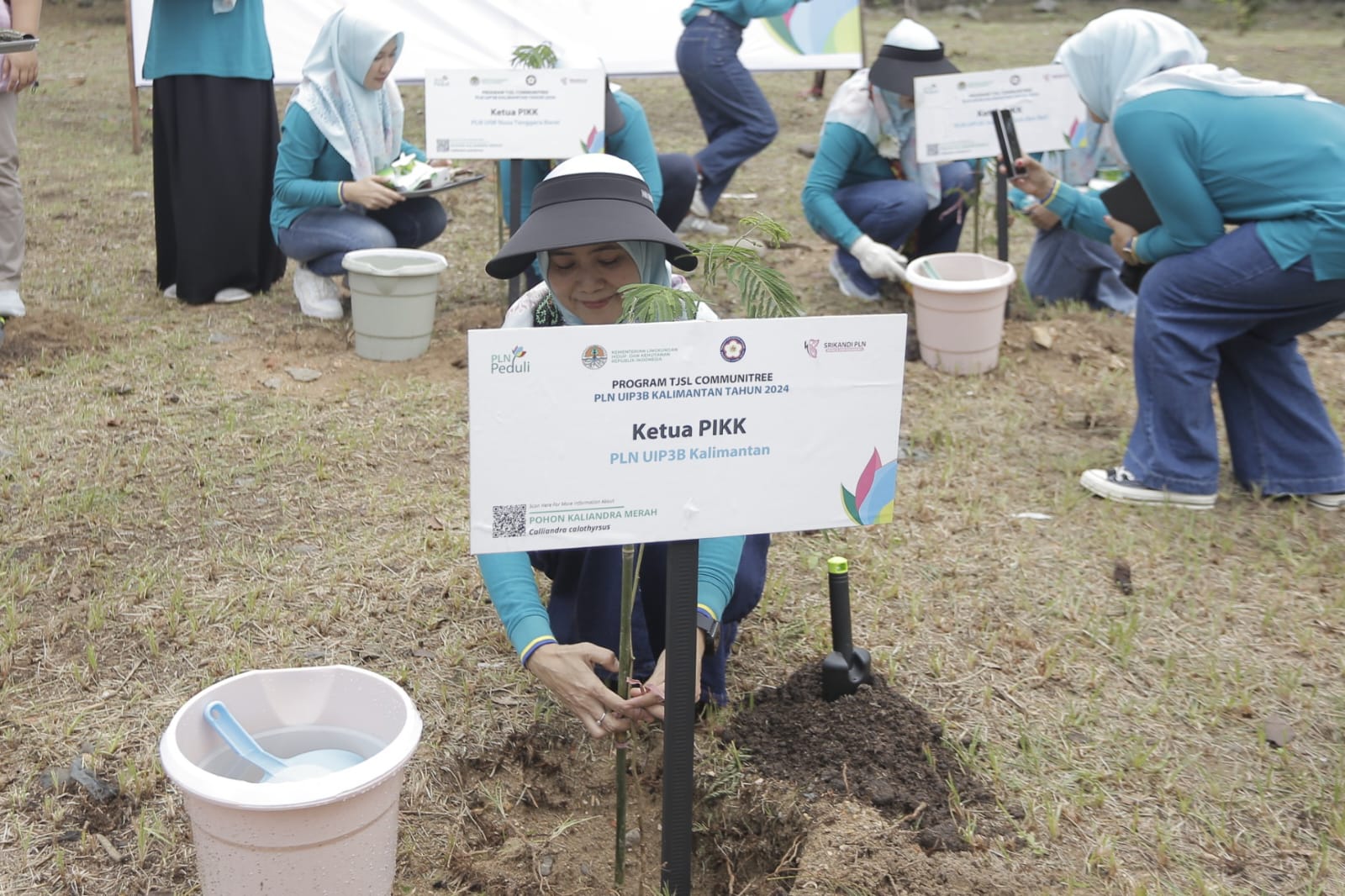 Ketua PIKK PLN UIP3B Kalimantan, Nurhasnah Abdul Salam Nganro saat menanam bibit pohon kaliandra merah. FOTO; ISTIMEWA. 