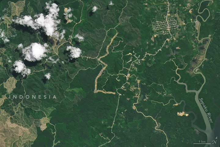 Citra satelit tutupan lahan di IKN pada 2022 sebelum proyek pembangunan berjalan. FOTO: NASA