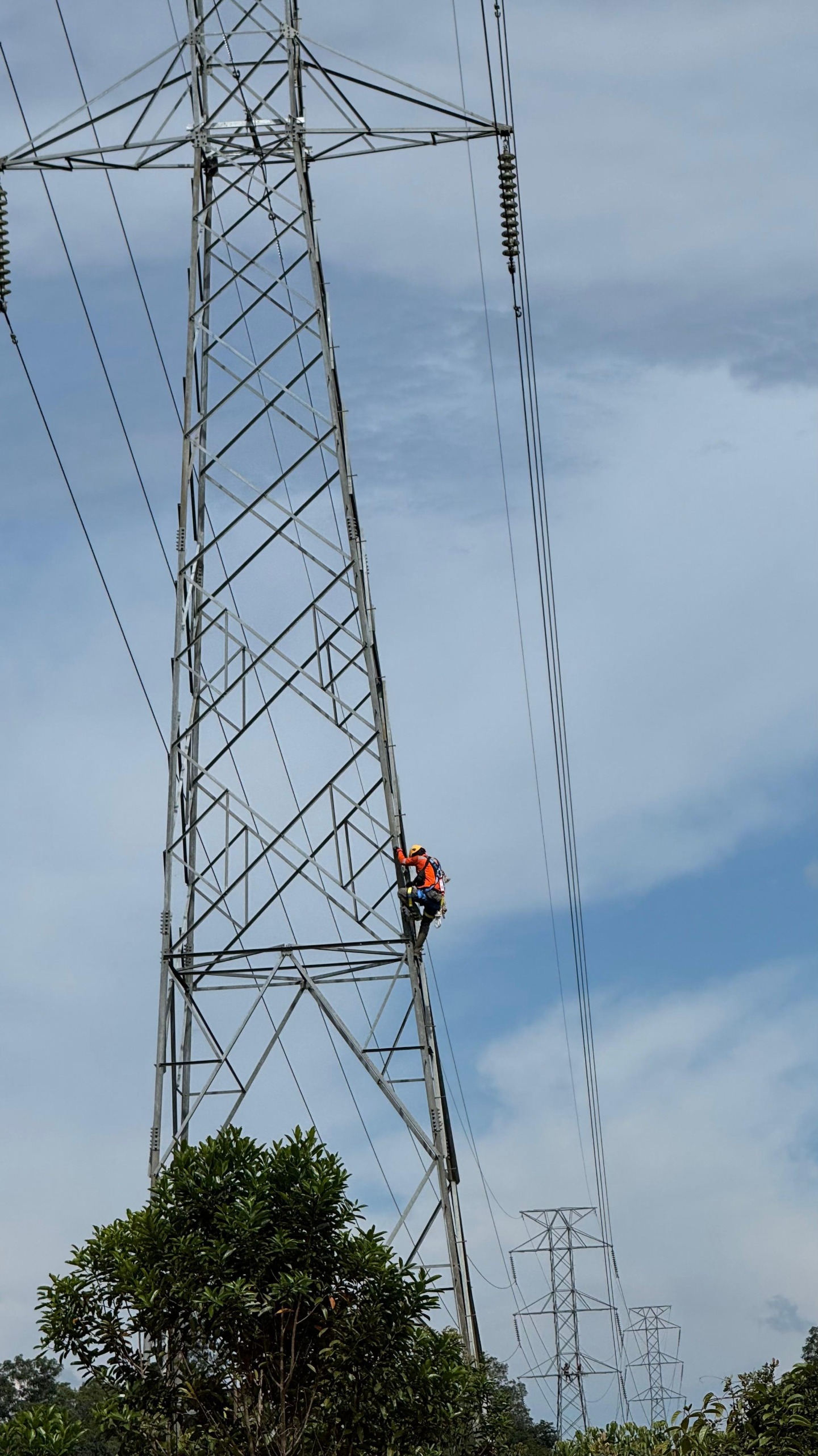 Petugas tengah melakukan pemeliharaan tower Saluran Udara Tegangan Tinggi (SUTT) 150 kV di wilayah Kalimantan Barat. Kegiatan ini menjadi bagian dari upaya menjaga kontinuitas pasokan listrik menjelang dan selama momen Hari Lahir Pancasila. FOTO; ISTIMEWA. 
