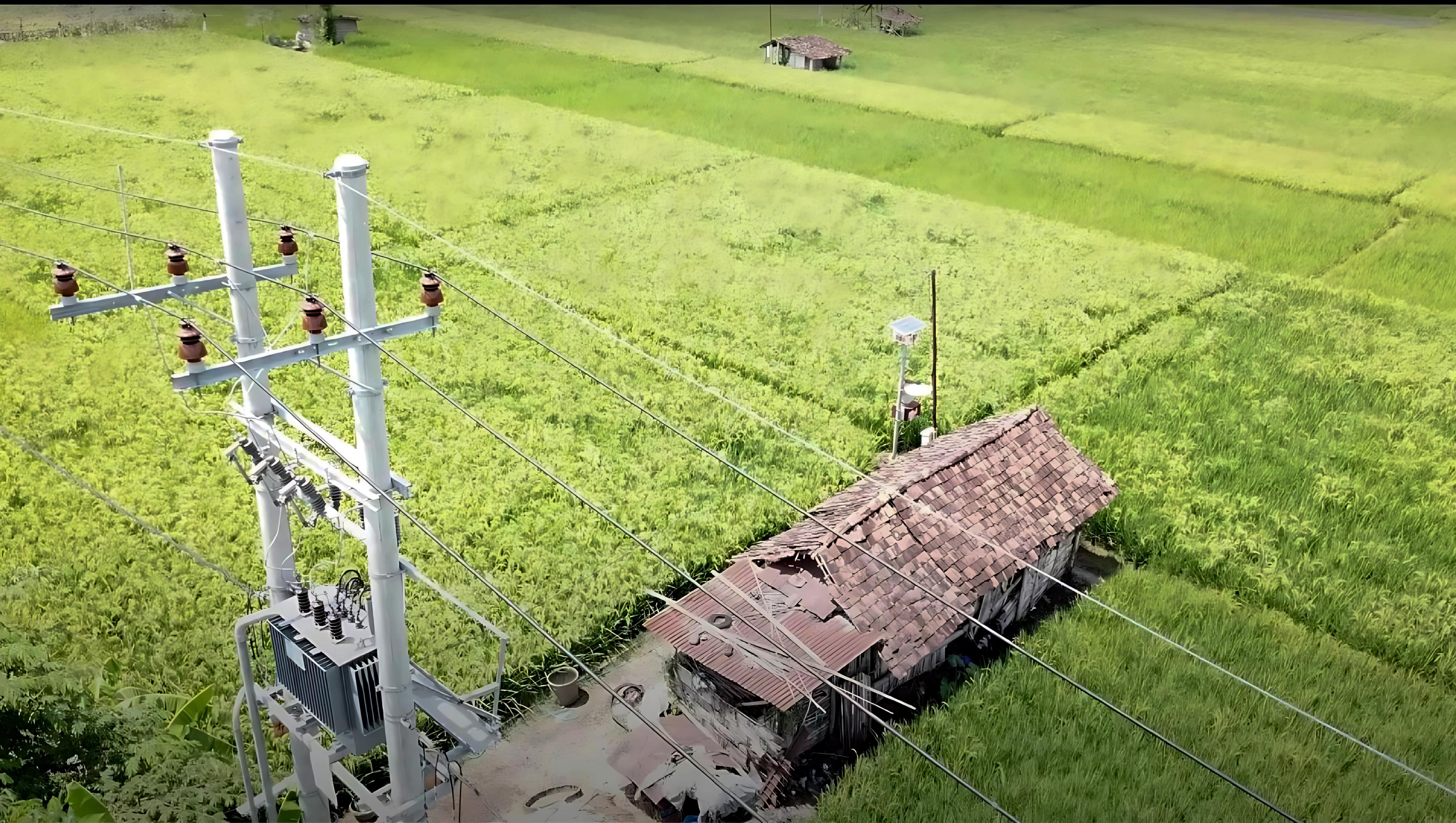 Jaringan Tegangan Menengah (JTM) 20 kilovolt (kV) PLN membentang di kawasan persawahan Desa Sukorejo, Ponorogo, Jawa Timur sebagai bagian dari upaya mendukung program Electrifying Agriculture untuk meningkatkan produktivitas sektor pertanian. FOTO; ISTIMEWA. 