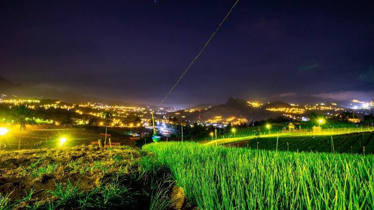 Electrifying agriculture dengan menggunakan lampu pada malam hari untuk meminimalisir hama yang dapat menghambat pertumbuhan tanaman sekaligus menjadi matahari buatan untuk mempercepat pertumbuhan tanaman pada kebun petani bawang di Kabupaten Enrekang, Sulawesi Selatan. FOTO; ISTIMEWA. 