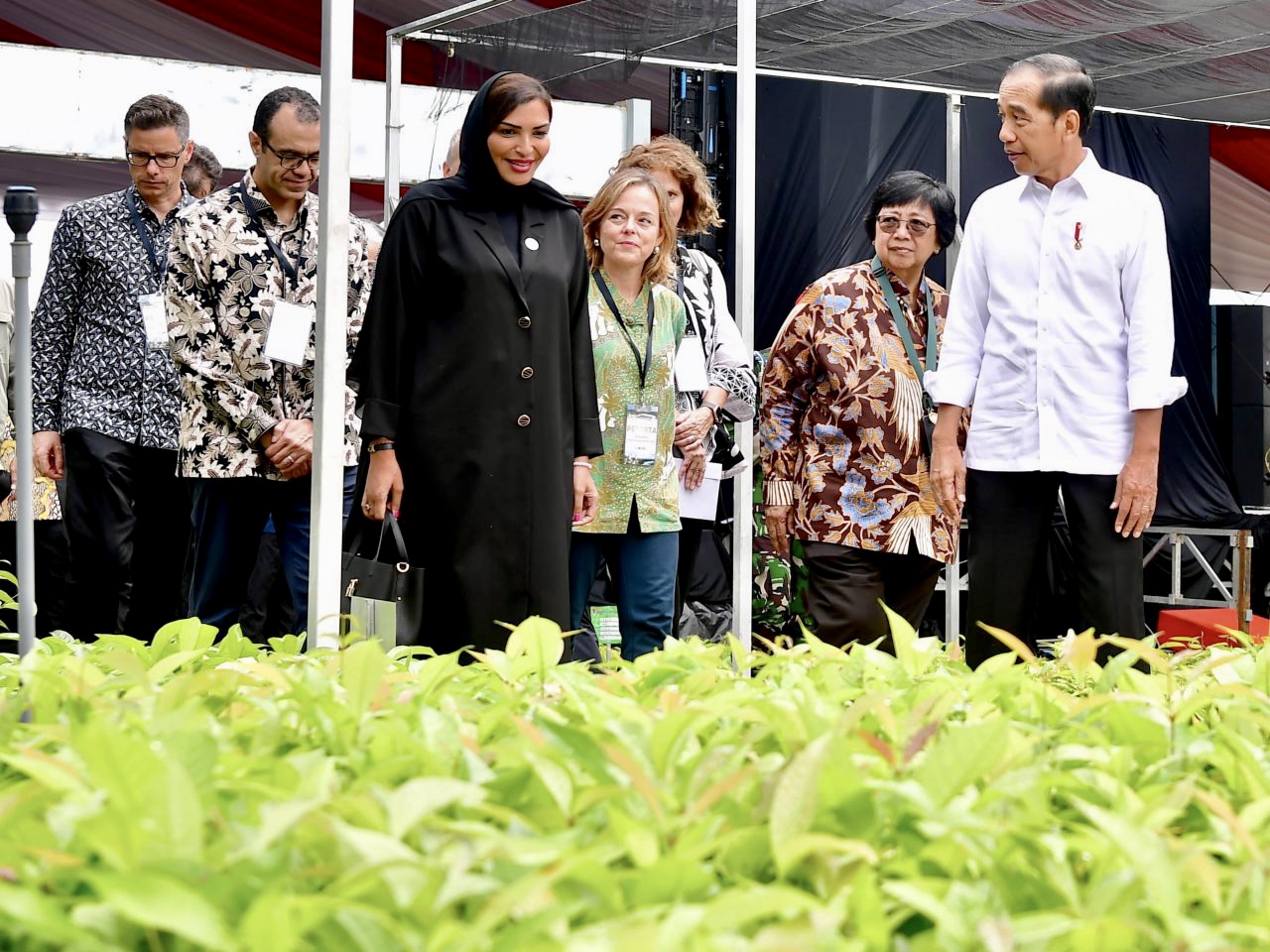 Presiden Jokowi sesaat setelah meresmikan Persemaian Mentawir di Sepaku, PPU, Selasa, 4 Juni 2024. FOTO: BPMI SETPRES